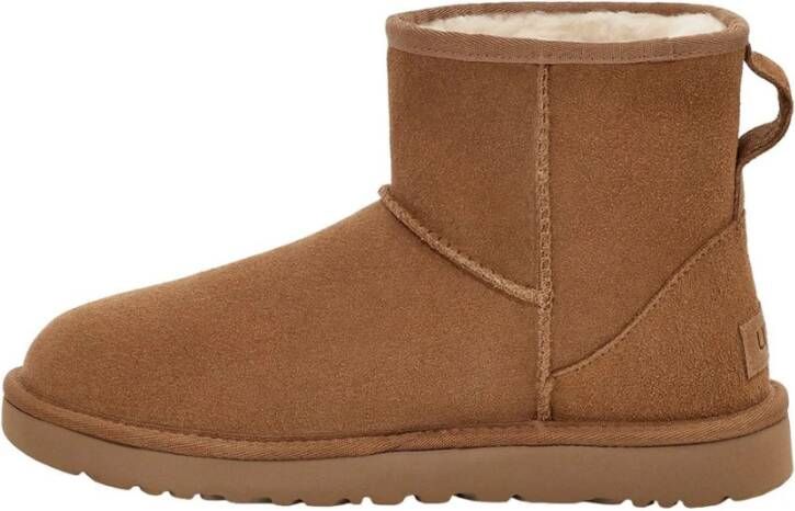 Ugg Winter Boots Bruin Dames