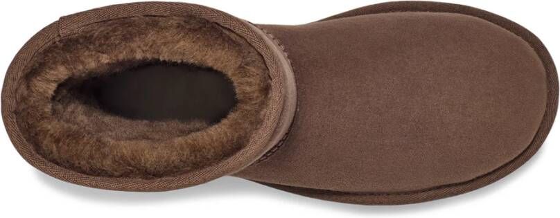 Ugg Winter Boots Bruin Dames