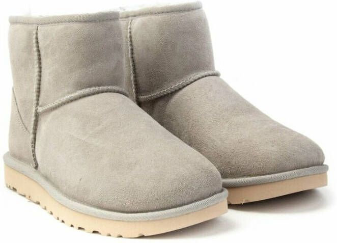 Ugg Winter Boots Grijs Dames