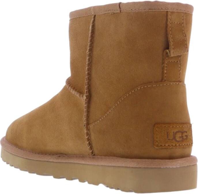 Ugg Winterlaarzen Bruin Dames