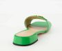 Valentino Garavani Groene leren VLogo Muiltjes Lente-Zomer 2025 Green Dames - Thumbnail 4