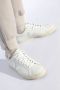 Veja Witte Sneakers voor een stijlvolle look White Dames - Thumbnail 8