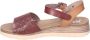 XTI Jonge Modieuze Sandalen Brown Dames - Thumbnail 5