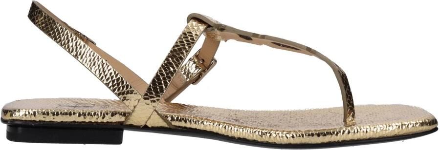 Fabi Platte leren teenslippers