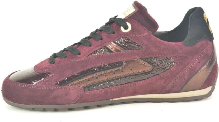 Floris van Bommel Bordo +Lace Fijn Sneaker N.