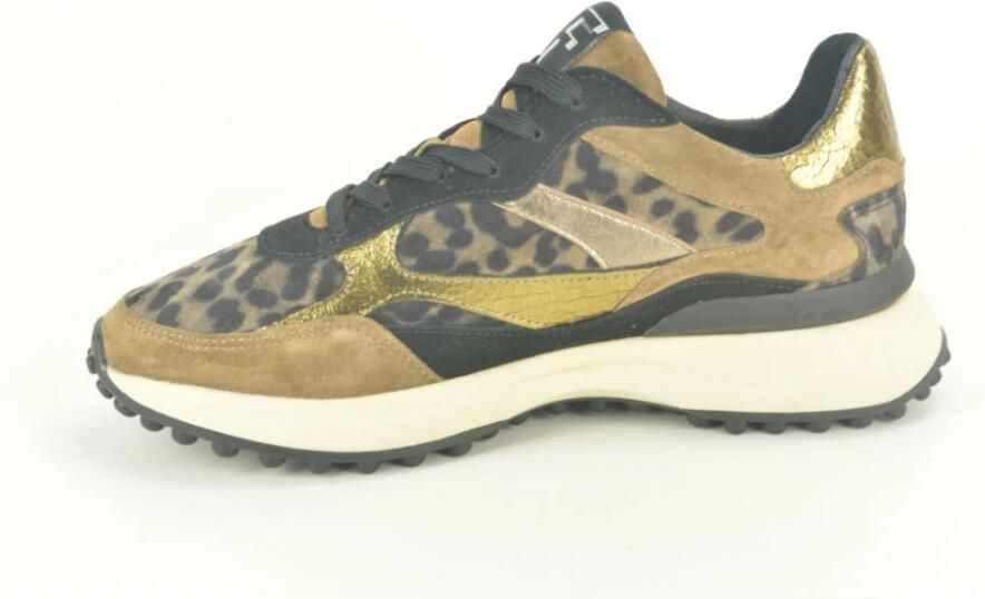 Floris van Bommel Combi Runner N.