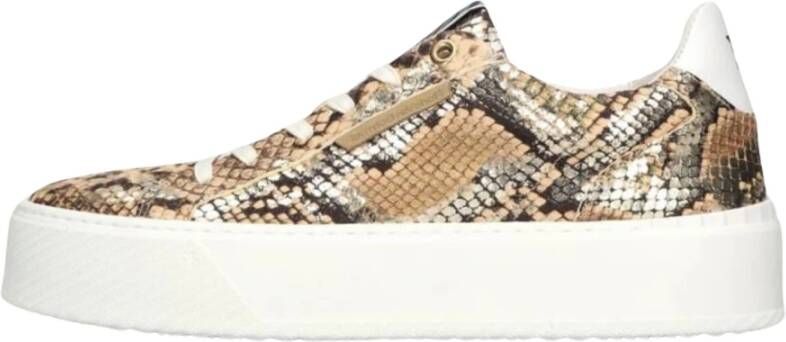 Floris van Bommel Goud Slangenprint Lage Sneakers Multicolor Dames