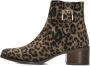 FLORIS VAN BOMMEL Enkellaarsjes Dames Sfw-50065 Evi Maat: 41 Materiaal: Suède Kleur: Bruin - Thumbnail 4