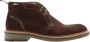Van Bommel Tanker Veterschoen Cognac Brown Heren - Thumbnail 1