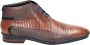 Floris van Bommel 10879 Volwassenen Business half-hoog Kleur: Cognac - Thumbnail 2