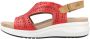 Fluchos Sandalen F1481 - Thumbnail 2