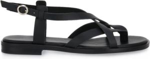 Frau Shoes Zwart Dames