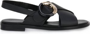 Frau Shoes Zwart Dames