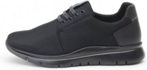 Frau Sneakers Zwart Heren