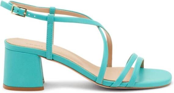 Frau Turquoise Kruisband Sandalen Blue Dames