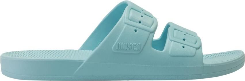Freedom Moses 4891624 Basic Slides Q1