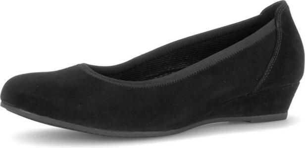 Gabor Wedge Pump