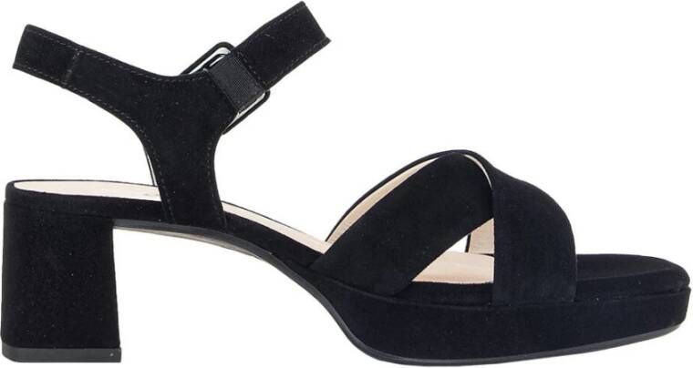 Gabor Hak Sandalen Samtchevreau Stijl