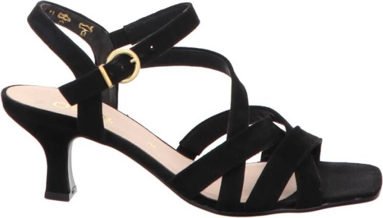 Gabor Velours Sandaal met Trichterabsatz Black Dames