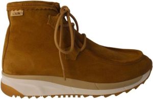 Gaimo Marcel Camel Veterschoen voor Dames Bruin Dames