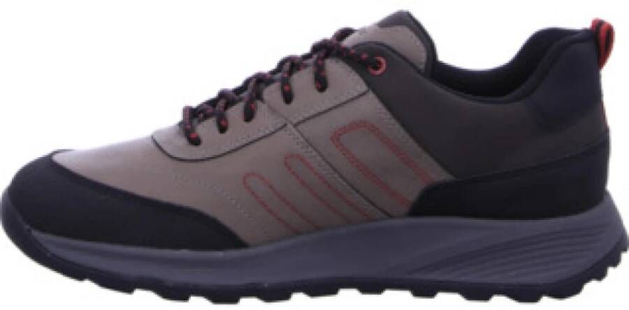 Geox Casual Heren Sneakers in Dovegreyc