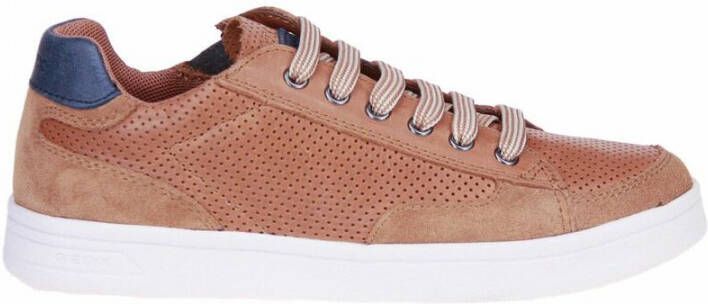 Geox Djrock Sneakers Bruin Heren