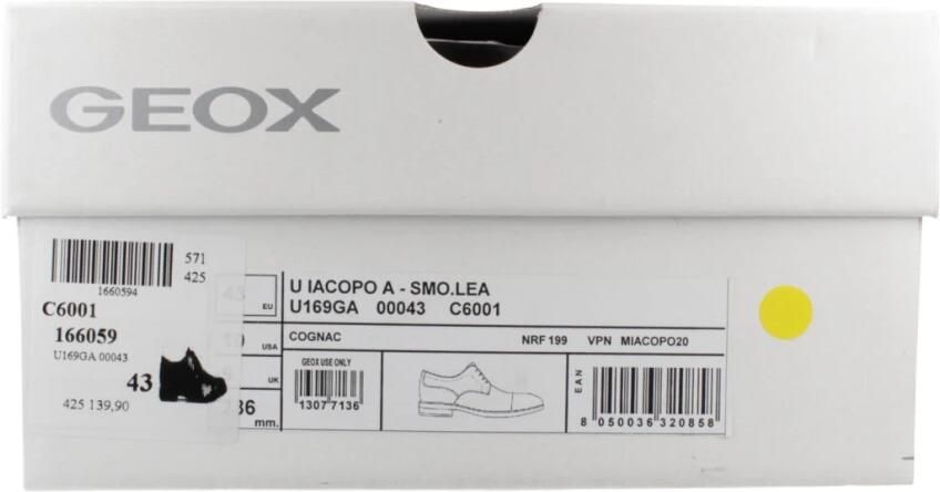 Geox Nette schoenen U Iacopo - Foto 3
