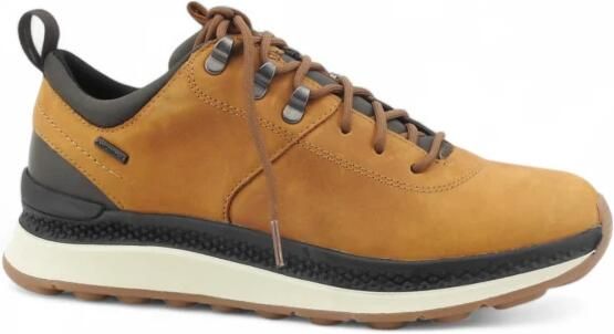 GEOX Spherica Actif X2 Schoenen Bruin Man