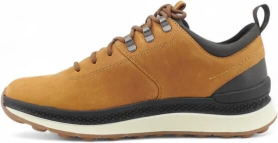 GEOX Spherica Actif X2 Schoenen Bruin Man - Foto 2