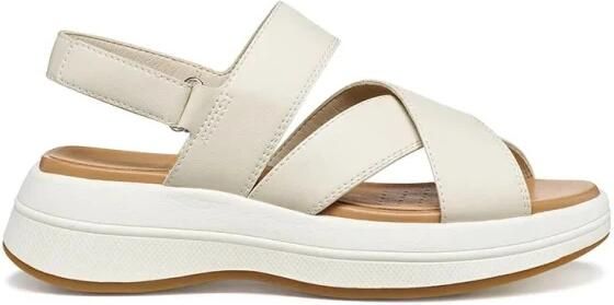Geox Spherica Ecub-3 S