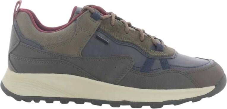 Geox Herenschoenen Bruin Terrestre U36Ezc Blauw Heren