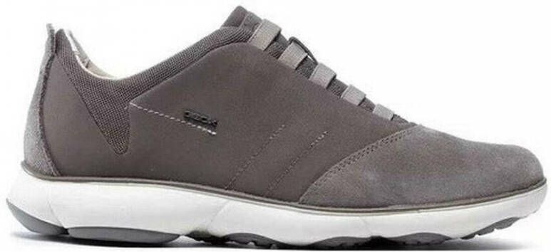 Geox nebula shoes Grijs Heren