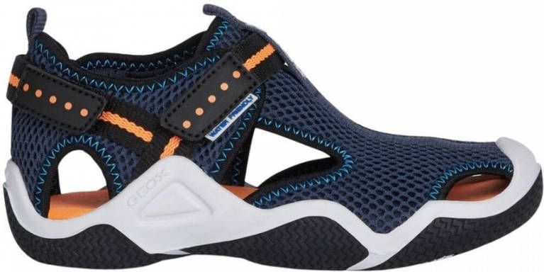 Geox Shoes