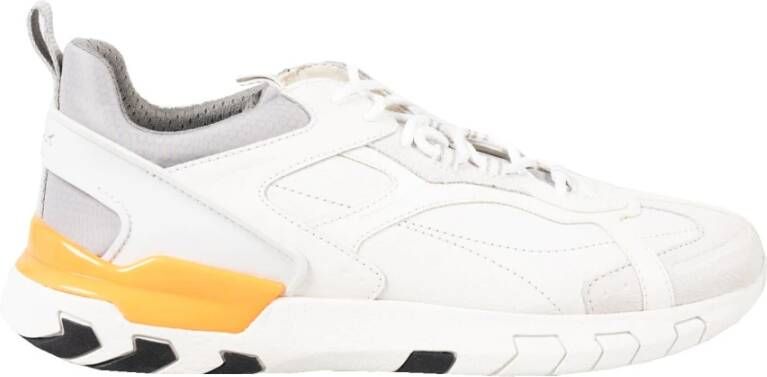 Geox Sneakers met ronde neus en veters White Heren