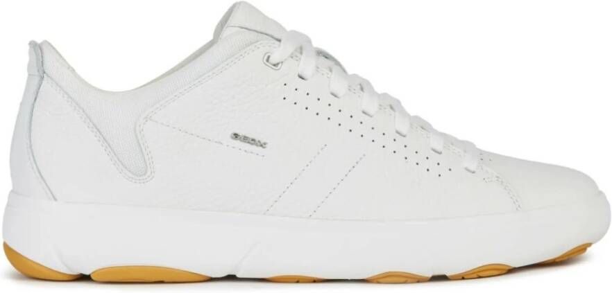 Geox U Nebula sneakers Wit Heren