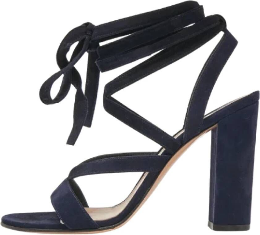 Gianvito Rossi Pre-owned Suede sandals Blue Dames