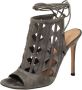 Gianvito Rossi Pre-owned Suede sandals Gray Dames - Thumbnail 1