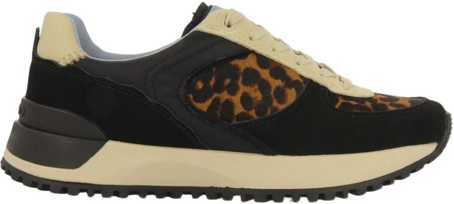 Gioseppo Potter Sneaker