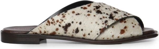 Giuliano Galiano GD02M Wild Horn