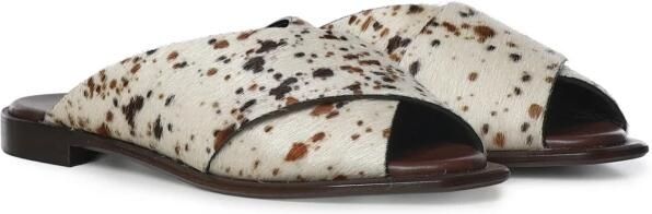 Giuliano Galiano GD02M Wild Horn - Foto 4