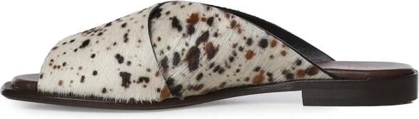 Giuliano Galiano GD02M Wild Horn - Foto 5