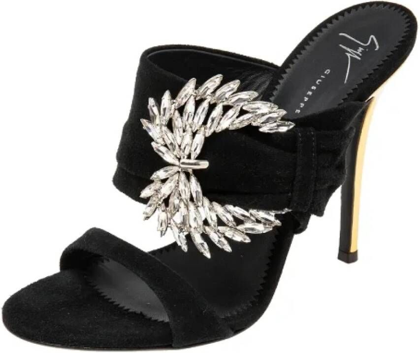 Giuseppe Zanotti Pre-owned Suede sandals Black Dames