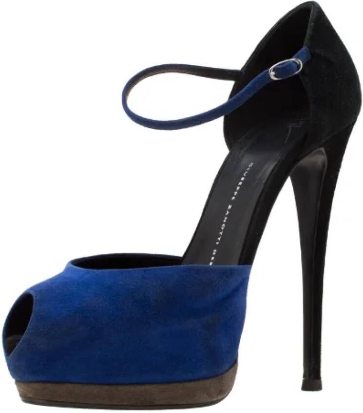 Giuseppe Zanotti Pre-owned Suede sandals Blue Dames