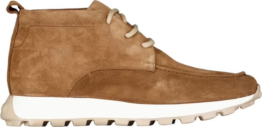 H32 Schoenen Cognac Calais Sneakers Cogna - Foto 3