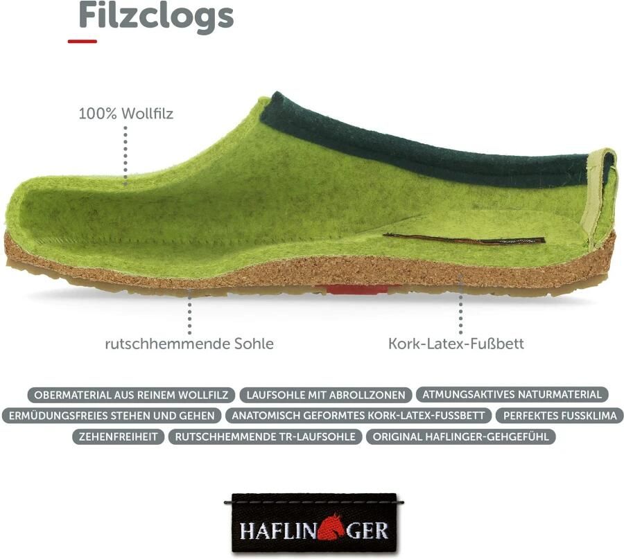 Haflinger Grizzly Kris - Foto 2