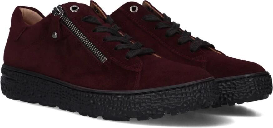HARTJES Lage Sneakers Dames 162.1401 Phil Suède Bordeaux - Foto 2