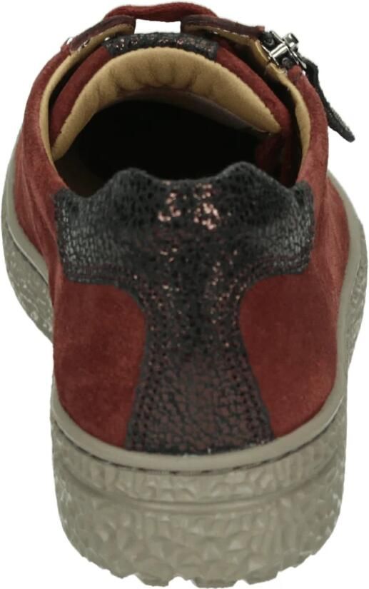 Hartjes Dames Veterschoenen 162.1401 3480.10 Phil Shoe Aubergine - Foto 4