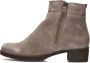 HARTJES Enkelboots Dames H Rits Booty Maat: 43 Materiaal: Suède Kleur: Taupe - Thumbnail 4