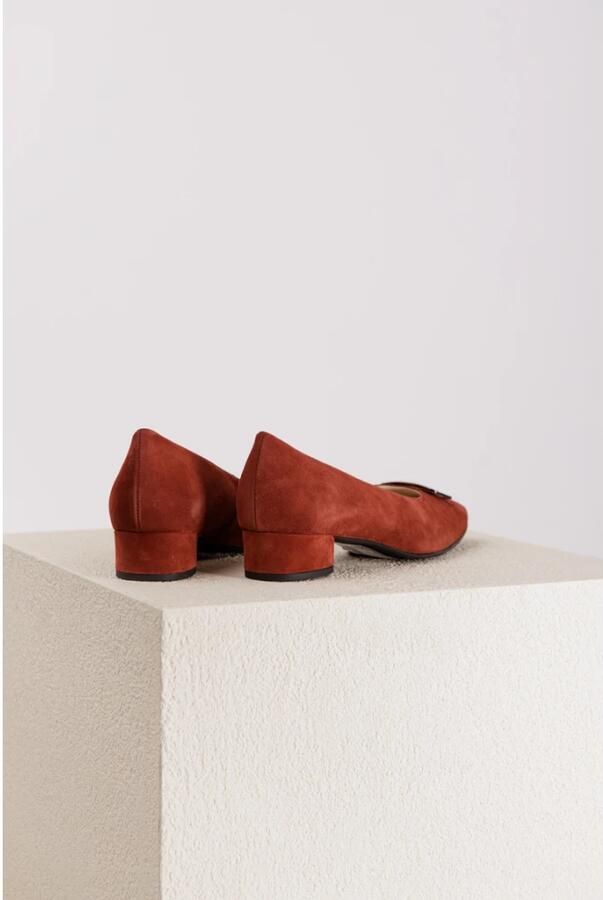 Hassia Elegante Suède Pump met Gesp Detail