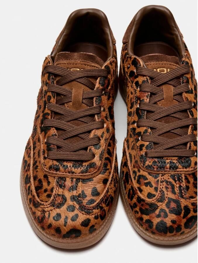 HOFF Sneakers Park Leopard Chocolate - Foto 6